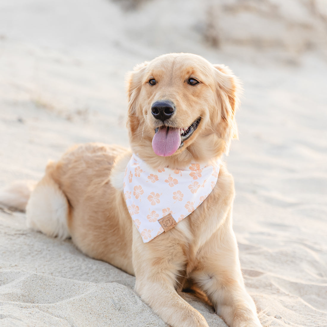 Aloha Blossom Bandana