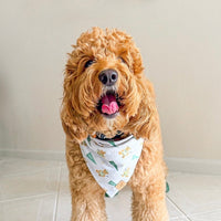 Birdie Club Bandana