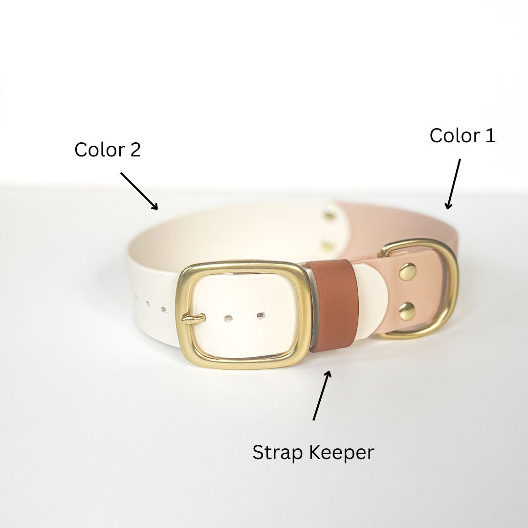 1.5" Two-Tone Waterproof Classic Buckle Dog Collar