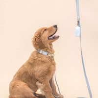 Standard Waterproof Dog Leash