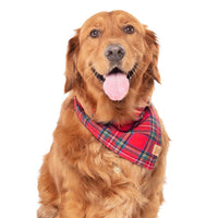 Christmas Magic Flannel Bandana