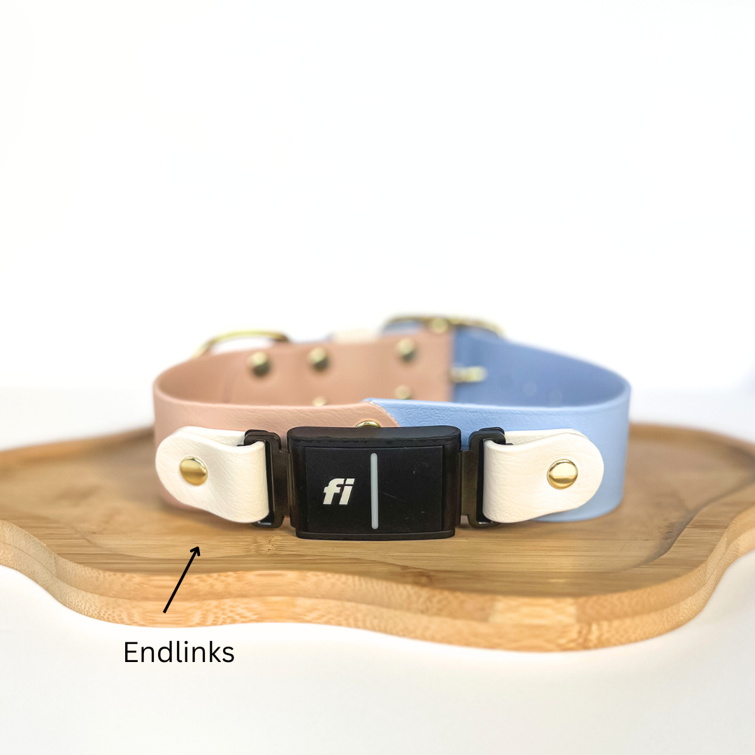 1.5" Fi Compatible Waterproof Classic Collar