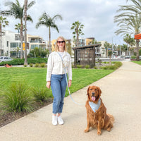 Two-Tone Hands-Free Waterproof Dog Leash