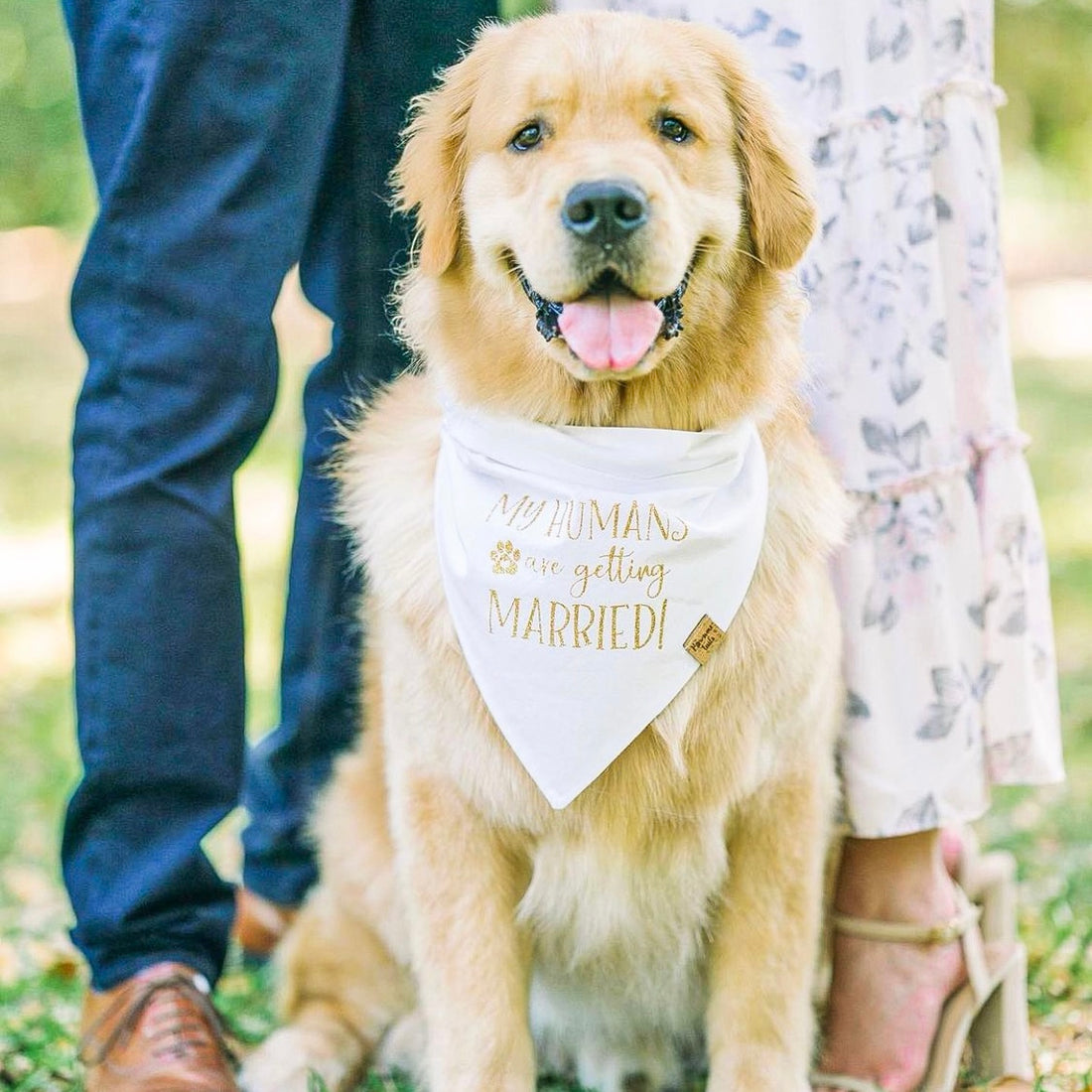 My Humans Are Getting Married Bandana