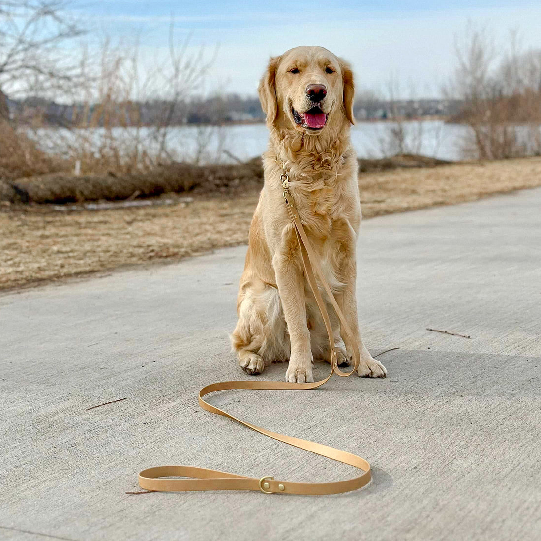 Standard Waterproof Dog Leash