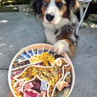 Golden Hour Slow Feeder Bowl | Oat