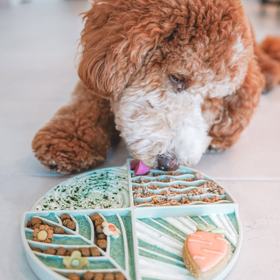 Round Lick Mat