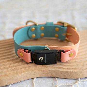1.5" Fi Compatible Waterproof Classic Collar