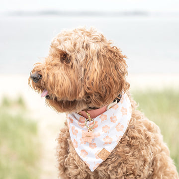 Aloha Blossom