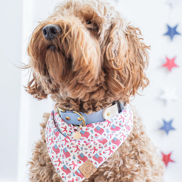 Red Woof and Blue Bandana