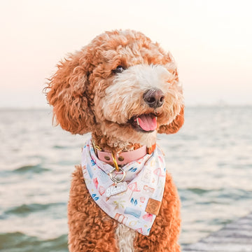 Beach Day Bandana
