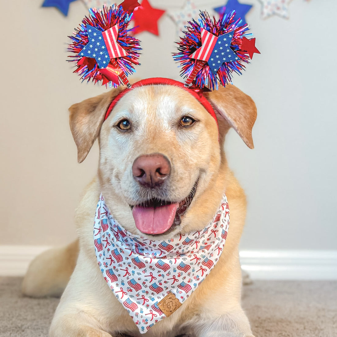 Red Woof and Blue Bandana