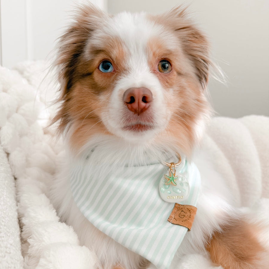 Coastal Breeze Bandana