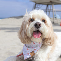Pink Paradise Bandana