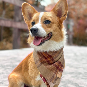 Hazelnut Plaid Flannel Bandana