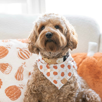 Pumpkin Charm Bandana