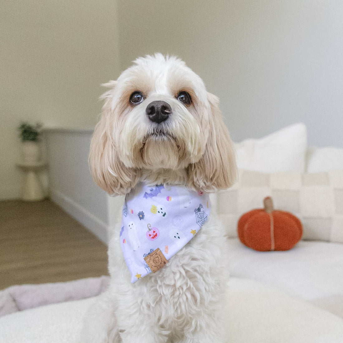 Boo-tiful Haunt Bandana