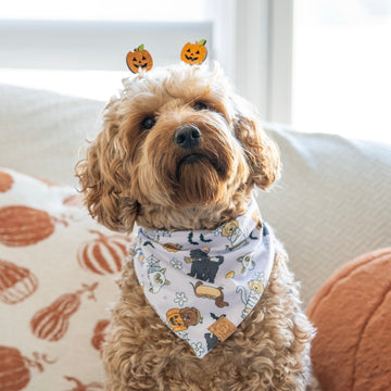 Puppy Tricks Bandana
