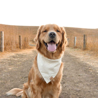 Oatmeal Plaid Flannel Bandana