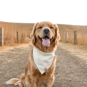Oatmeal Plaid Flannel Bandana