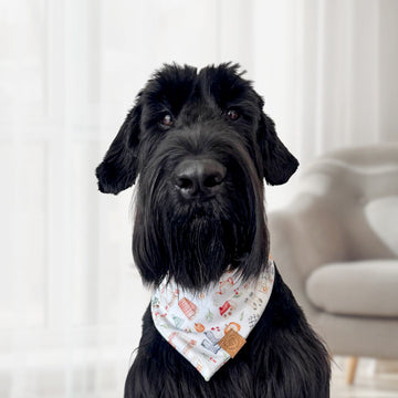 Sweater Weather Bandana