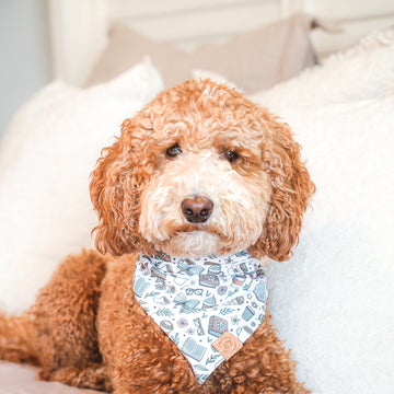 Bookish Dreams Bandana