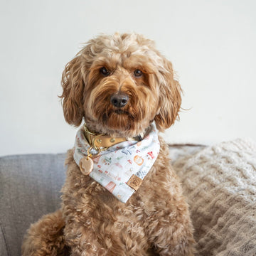 Sweater Weather Bandana