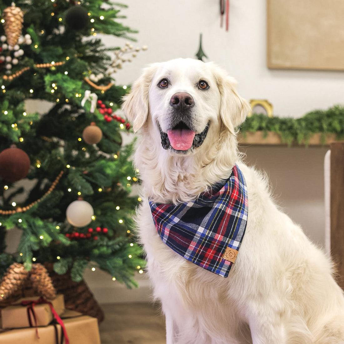 Midnight Plaid Flannel Bandana
