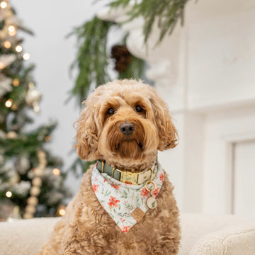 Mistletoe Bloom Bandana