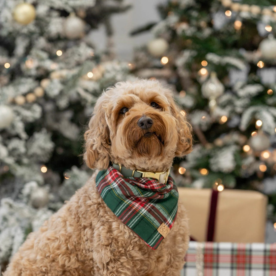 Evergreen Plaid Flannel Bandana