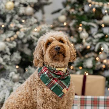 Evergreen Plaid Flannel Bandana