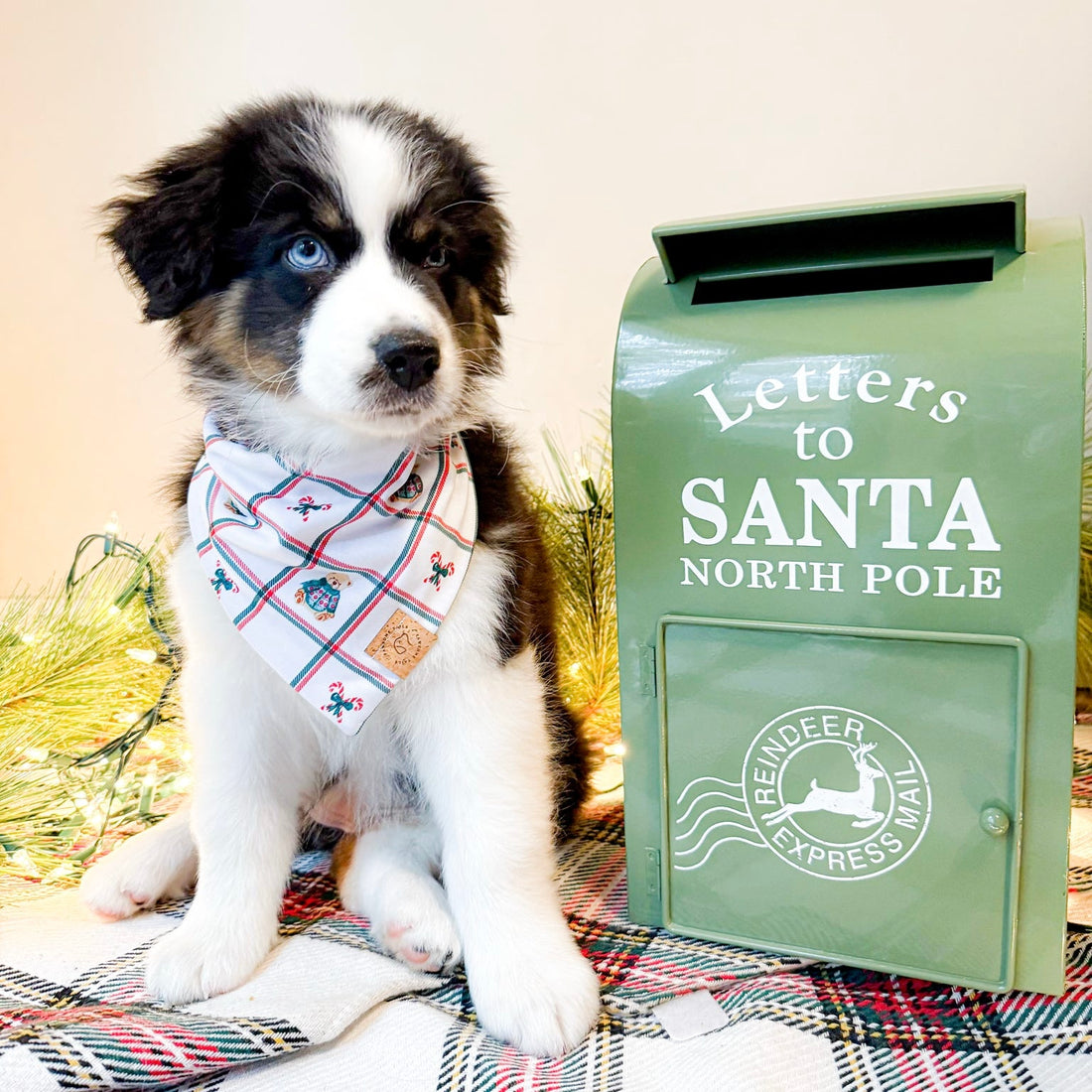 Christmas Teddy Bandana