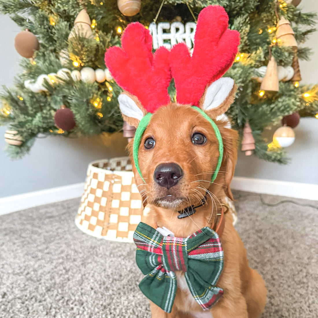 Evergreen Plaid Flannel Sailor Bow