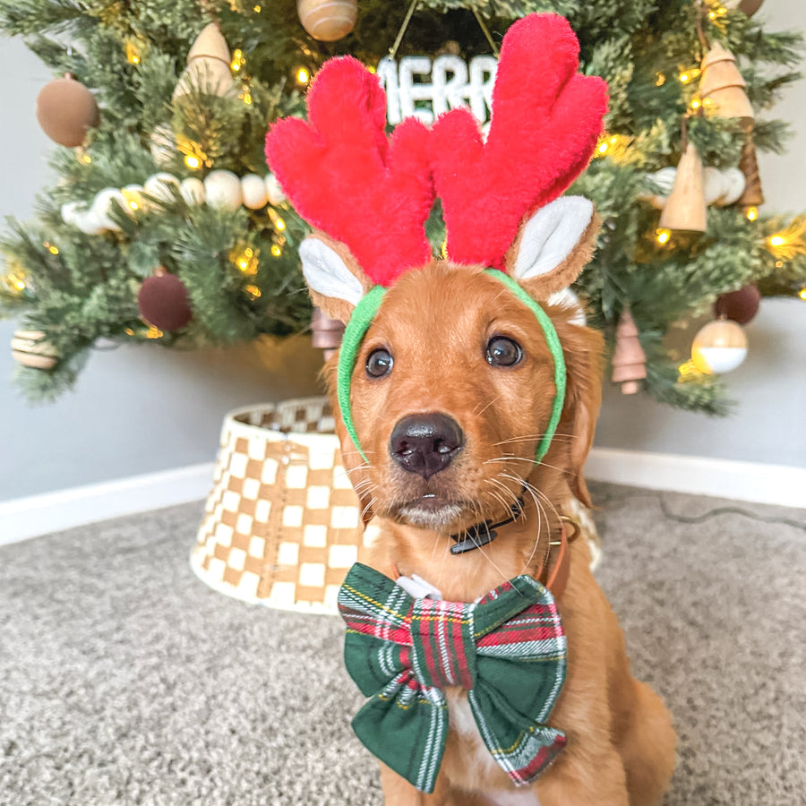 Evergreen Plaid Flannel Sailor Bow