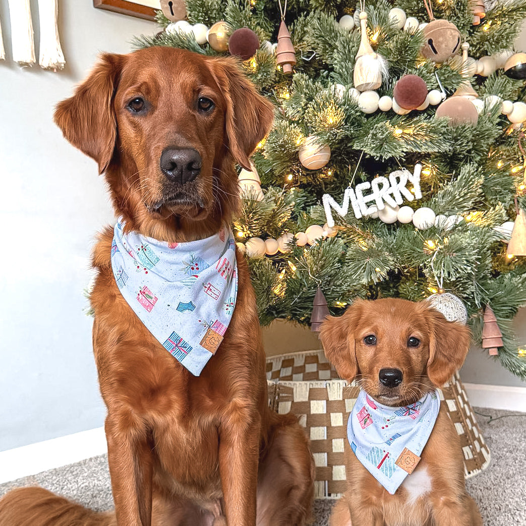 Christmas Morning Presents Bandana