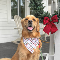 Christmas Teddy Bandana