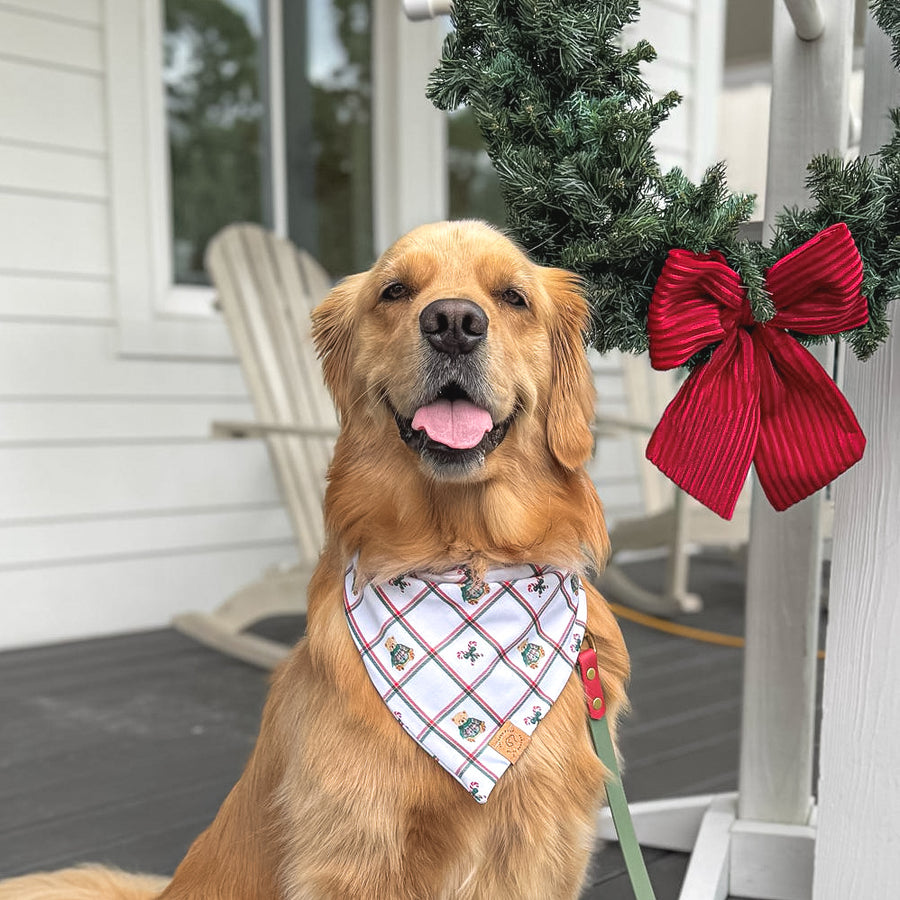 Christmas Teddy Bandana