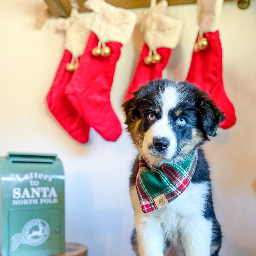 Evergreen Plaid Flannel Bandana