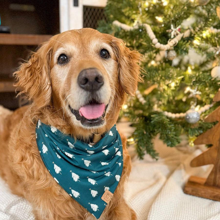 Twinkling Pines Bandana