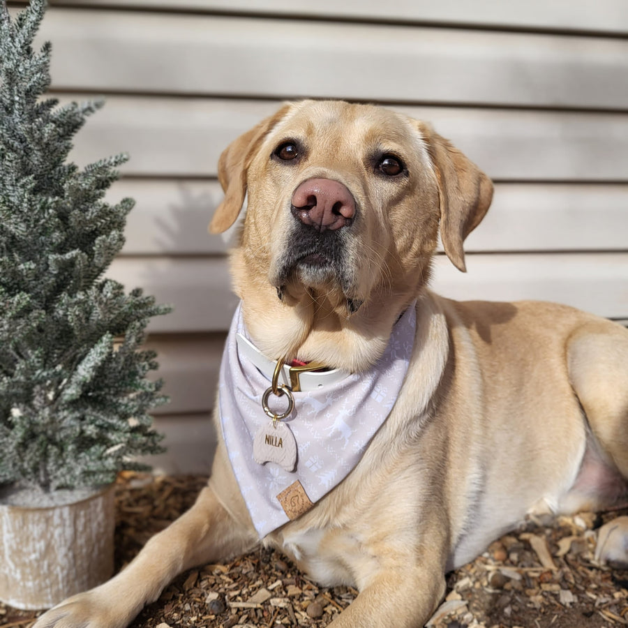 Nordic Christmas Bandana