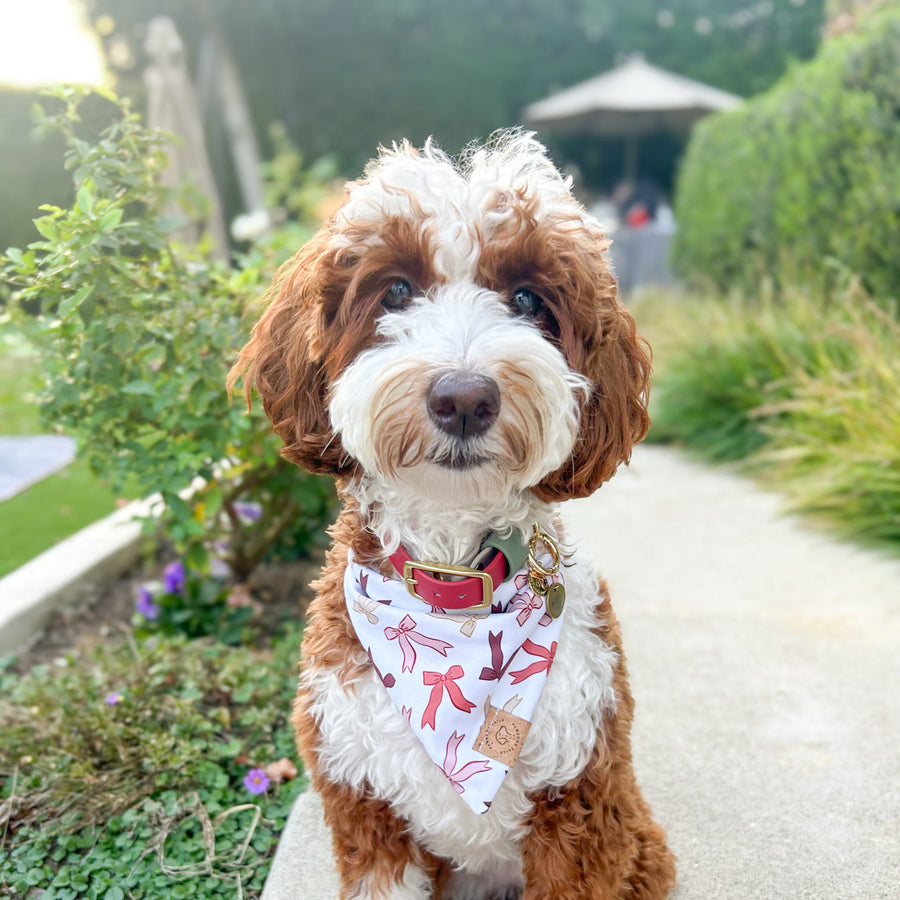 Merry Bows Bandana