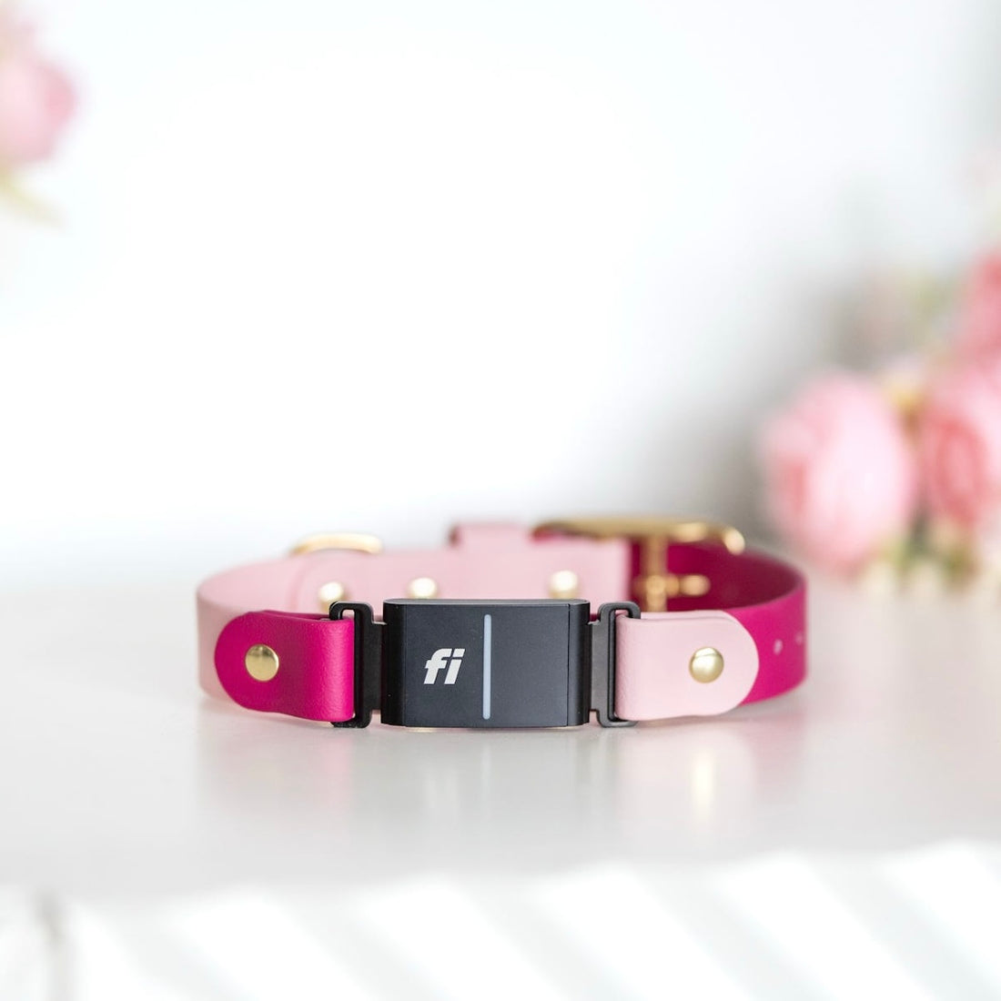 Fi Compatible  Waterproof Classic Collar