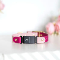 Fi Compatible  Waterproof Classic Collar