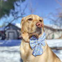 Amalfi Lemon Sailor Bow