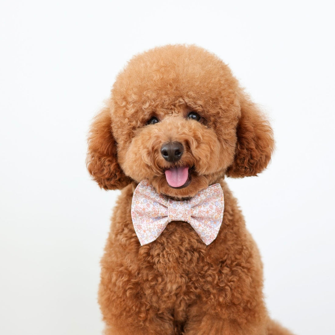 Spring Bouquet Bow Tie