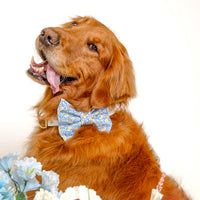 Amalfi Lemon Bow Tie