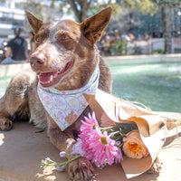 Cottage Garden Bandana