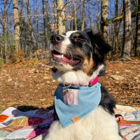 Blossom Letterman Bandana