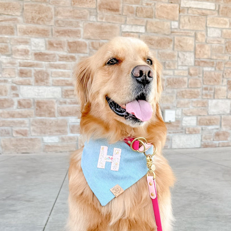 Blossom Letterman Bandana