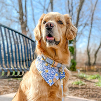 Amalfi Lemon Bandana